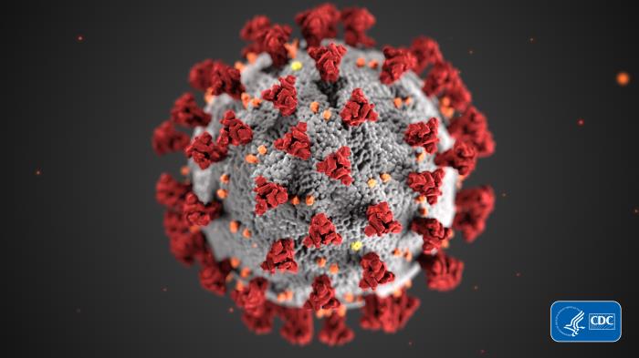 Para combatir el coronavirus, los servidores públicos necesitan el completo apoyo del gobierno