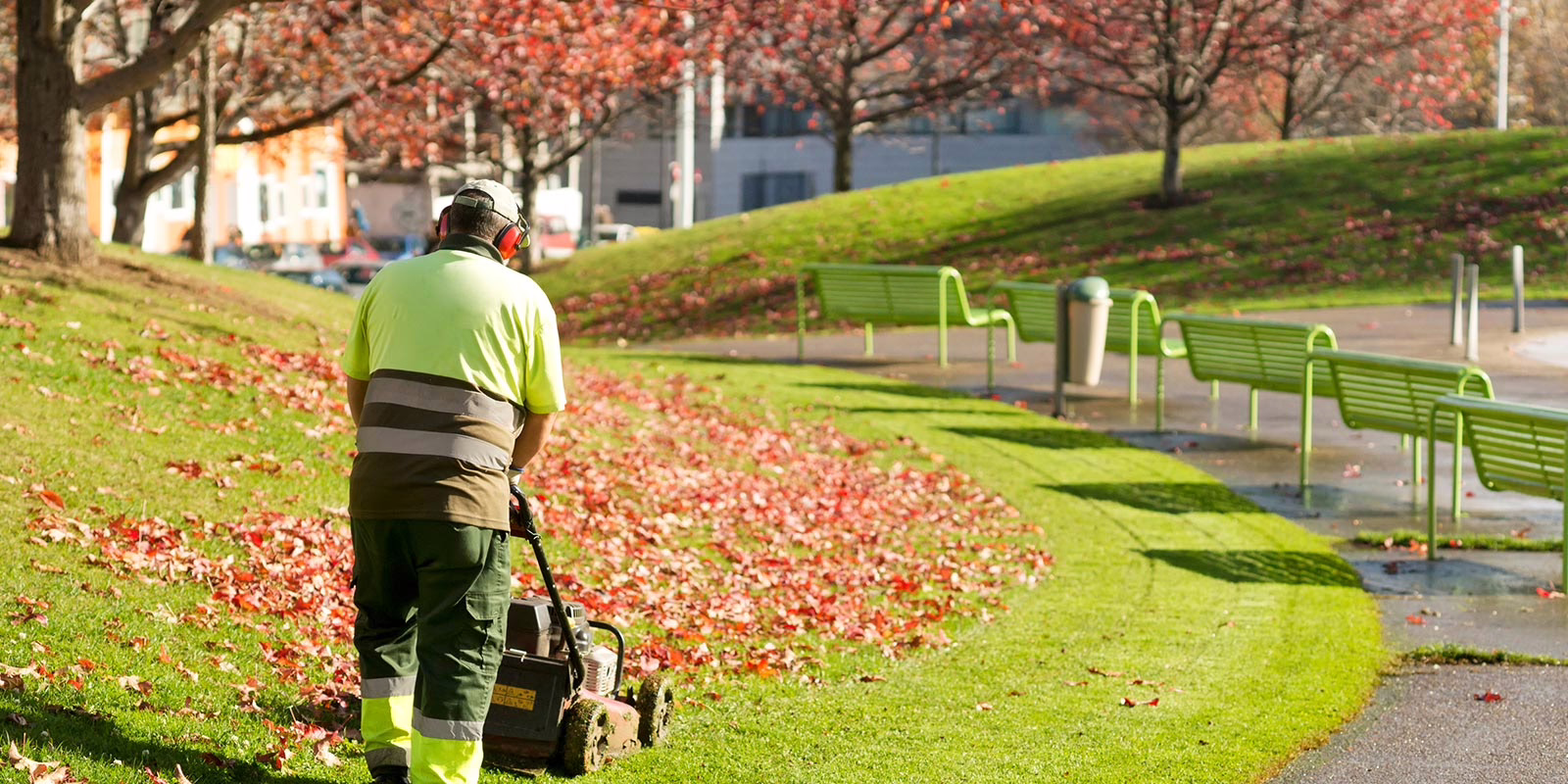 Grass getting mowed